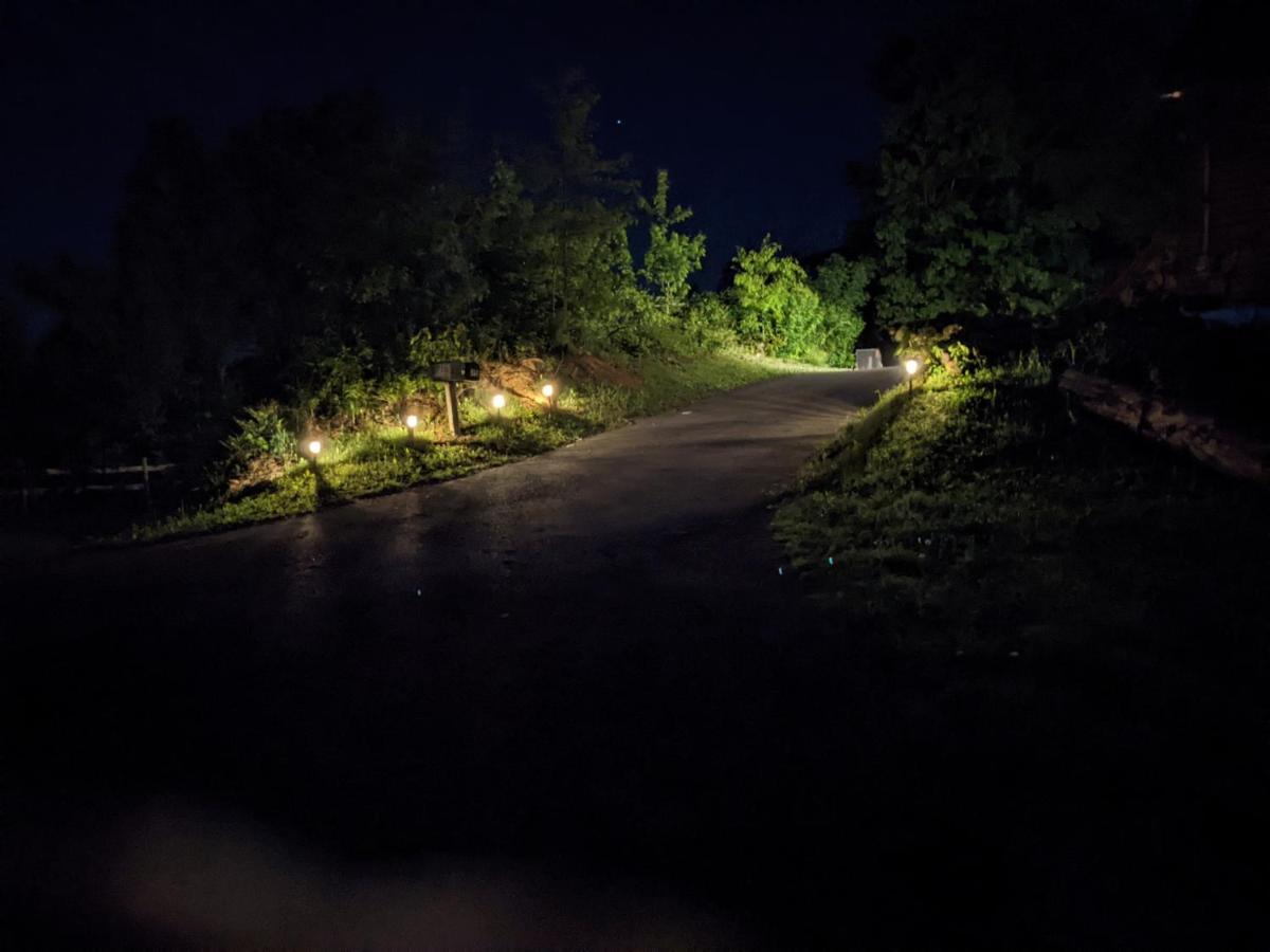 Twinflower Summit - Incredible Views, Pet Friendly! جاتلينبرج المظهر الخارجي الصورة